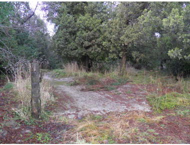 Lote cercano a la laguna "Selva Triste"