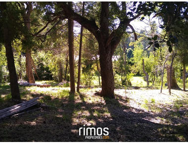 Lote 2600 m2 en Selva Triste