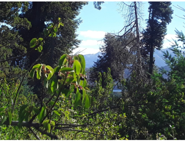 Lote Altos del Manzano