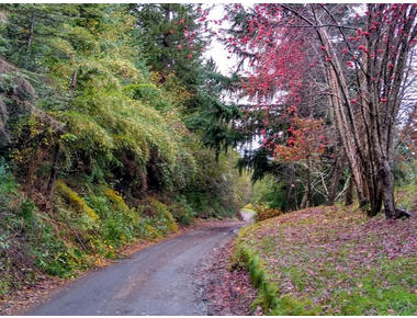 Lote 3, 3500m2 con vista, Arauco, Villa La An