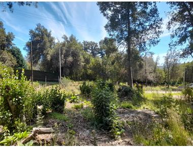 4 LOTES  CON PROYECTO APROBADO DE CASA  DE 75